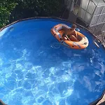 Varenna Wonders, With Pool For 14 Guests Villa Perledo